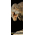 T rex 200209