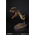 Dilophosaurus buste Museum Collection Series Damtoys MUS002B