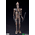 Star Wars Épisode V: L'Empire contre-attaque IG-88 Statue ArtFx échelle 1:10 Kotobukiya 903570