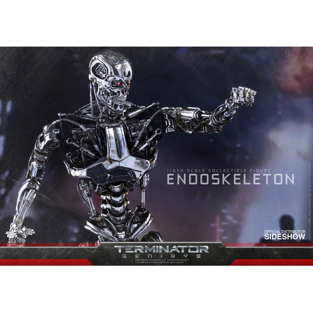Endoskeleton