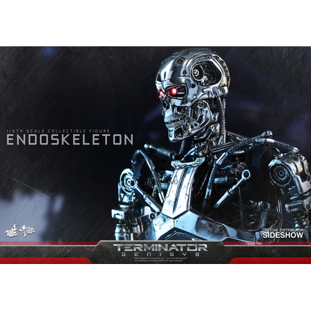 Endoskeleton