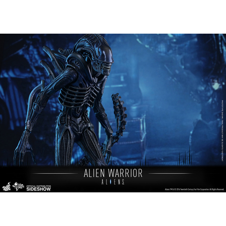 Alien Warrior