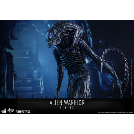 Alien Warrior