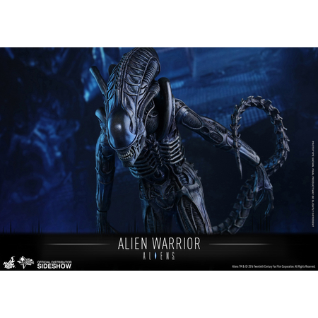 Alien Warrior