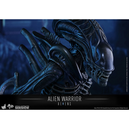 Alien Warrior