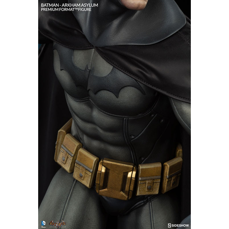 Batman Arkham Asylum