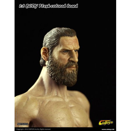 True Type style figurine 12 po (avec barbe longue) CM Toys HJ006