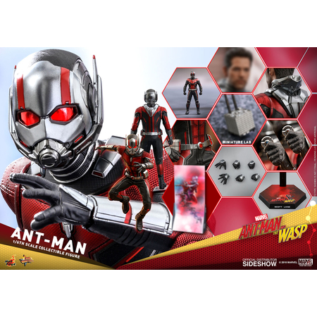 Ant-Man et la Guêpe Ant-Man figurine échelle 1:6 Hot Toys 903697