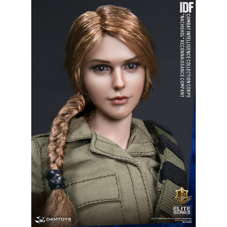 Israël Elite series IDF Combat Intelligence Collection Corps "Nachshol" Reconnaissance Company figurine échelle 1:6 Dam Toys 78043
