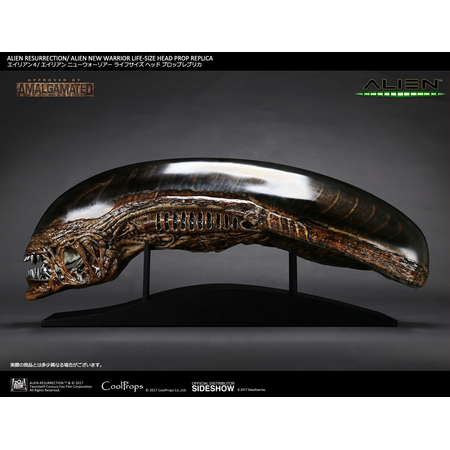 Alien New Warrior tête échelle 1:1 (grandeur nature) CoolProps 903158