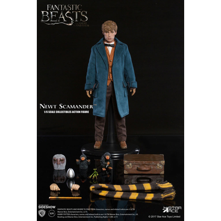 Fantastic Beasts and Where to Find Them Newt Scamander figurine échelle 1:6 Star Ace Toys Ltd 903160