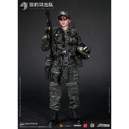 Chinese's People Armed Police Force Snow Leopard Commando Unit figurine 1:6 Damtoys 78052