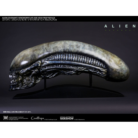 Alien: Covenant Xenomorph tête grandeur nature CoolProps 903191