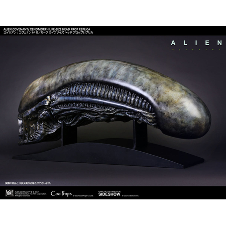 Alien: Covenant Xenomorph tête grandeur nature CoolProps 903191