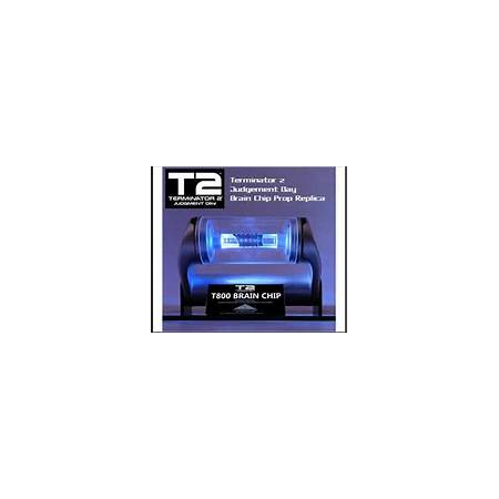 Terminator 2 Brain Chip