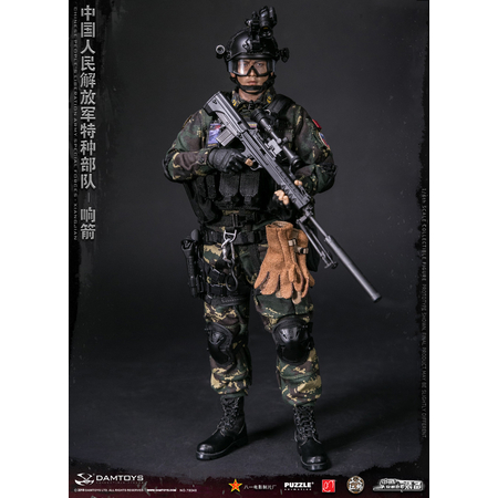 Chinese People's Liberation Army Forces Spéciales Xiangjian figurine 1:6 Dam Toys 78048