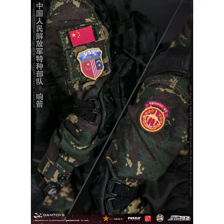 Chinese People's Liberation Army Forces Spéciales Xiangjian figurine 1:6 Dam Toys 78048