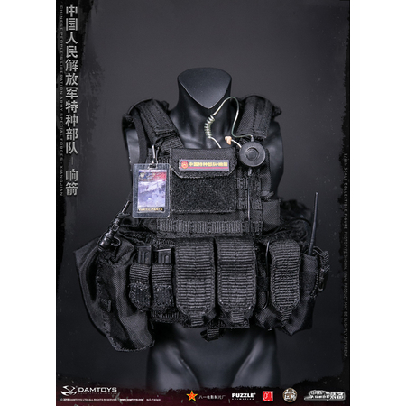 Chinese People's Liberation Army Forces Spéciales Xiangjian figurine 1:6 Dam Toys 78048