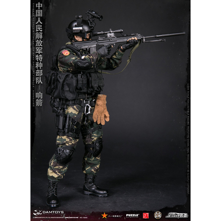 Chinese People's Liberation Army Forces Spéciales Xiangjian figurine 1:6 Dam Toys 78048Chinese People's Liberation Army Forces Spéciales Xiangjian figurine 1:6 Dam Toys 78048