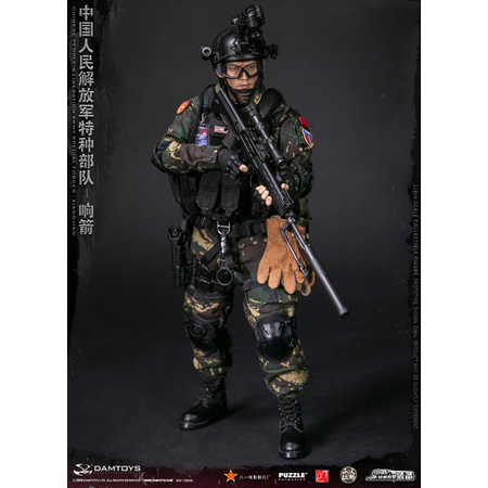 Chinese People's Liberation Army Forces Spéciales Xiangjian figurine 1:6 Dam Toys 78048