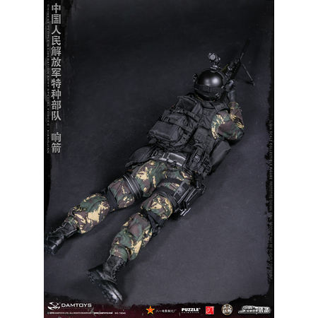 Chinese People's Liberation Army Forces Spéciales Xiangjian figurine 1:6 Dam Toys 78048