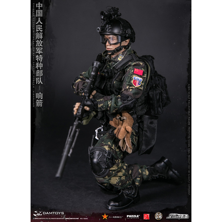 Chinese People's Liberation Army Forces Spéciales Xiangjian figurine 1:6 Dam Toys 78048