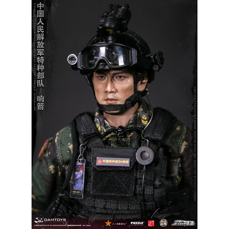 Chinese People's Liberation Army Forces Spéciales Xiangjian figurine 1:6 Dam Toys 78048