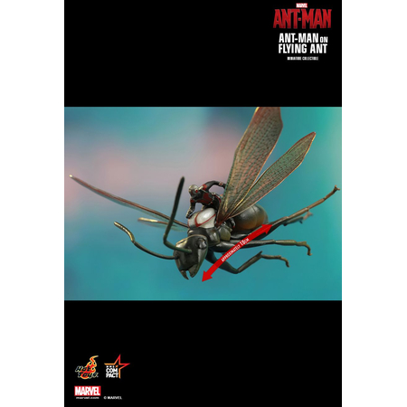 Ant-Man on Flying Ant figurine 1:6 Hot Toys MMSC003 (902513)
