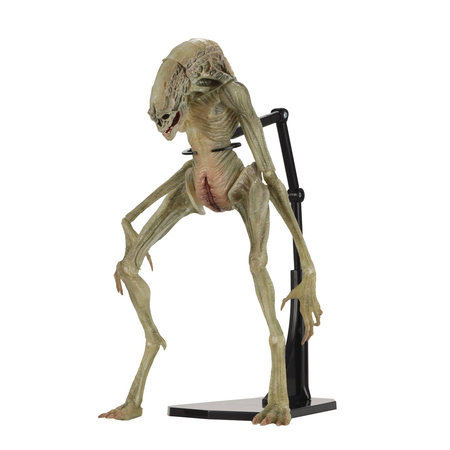 Alien Resurrection Deluxe Newborn Figurine échelle 7 pouces NECA 51654