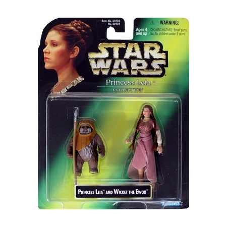 Star Wars Princess Leia et Wicket l'Ewok Hasbro