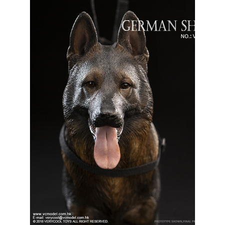 Berger allemand figurine 1:6 Very Cool Model VCF-2037C