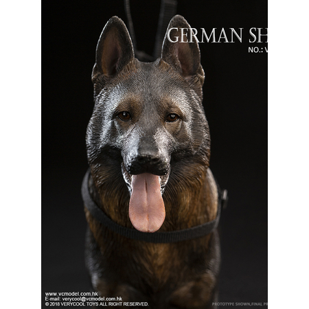 Berger allemand figurine 1:6 Very Cool Model VCF-2037C