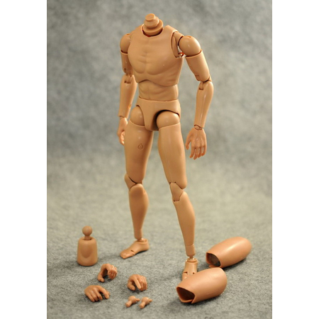 Narrow Shoulders 1:6 Action Figure Body ZyToys ZY-B001