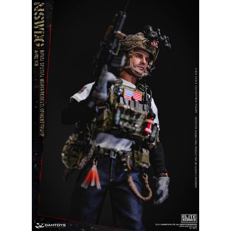 NSWDG Naval Warfare Group figurine échelle 1:6 DamToys 78072