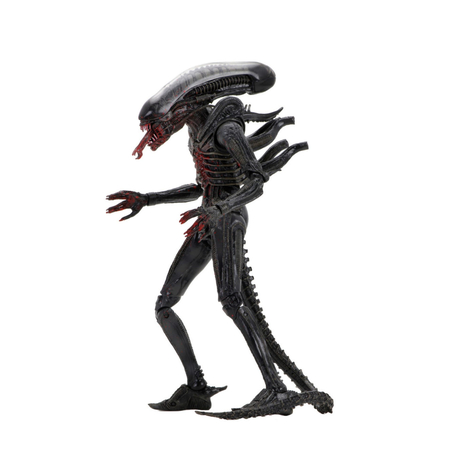 Alien 40th anniversary - 7-inch figure The Alien (Bloody) (Big Chap) NECA