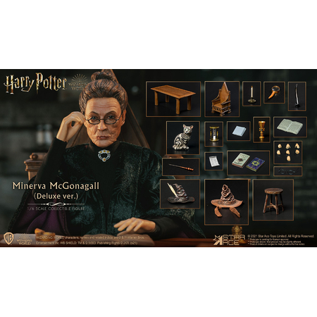 Minerva McGonagall (Deluxe Version) 1:6 Scale Figure Star Ace Toys Ltd 907715