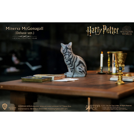 Minerva McGonagall (Desk Pack) 1:6 Scale Figure Accessory Star Ace Toys Ltd 907716