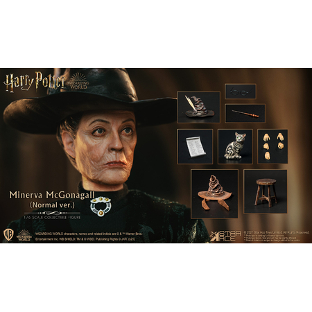 Minerva McGonagall Figurine Échelle 1:6 Star Ace Toys Ltd 907714