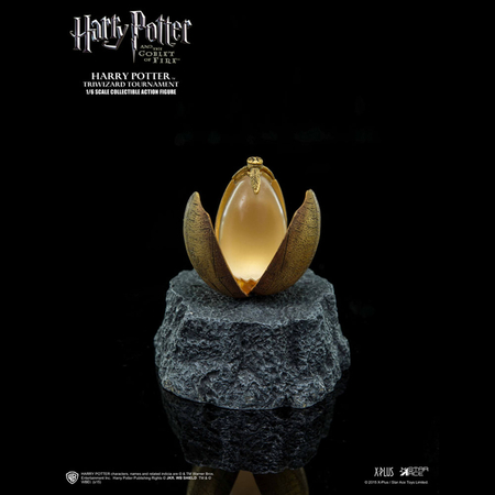Harry Potter (Triwizard Tournament Version) 1:6 Scale Figure Star Ace Toys Ltd 902514