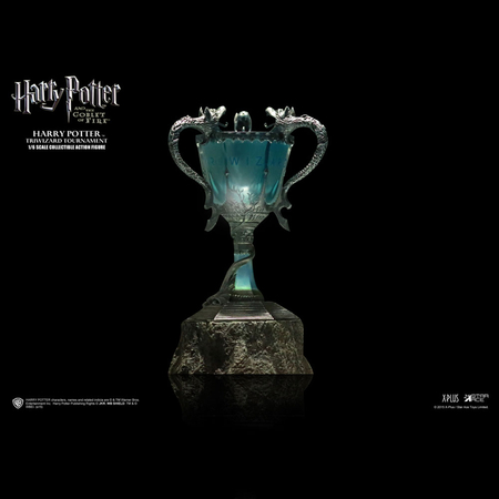 Harry Potter (Triwizard Tournament Version) 1:6 Scale Figure Star Ace Toys Ltd 902514