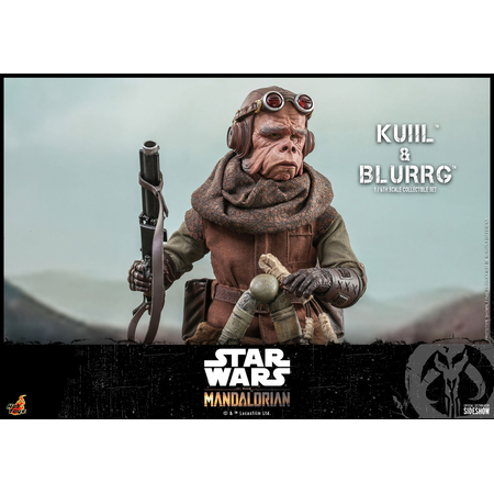 Kuiil & Blurgg Ensemble de figurines Échelle 1:6 Hot Toys 908593