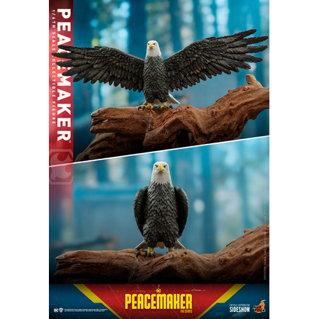 DC Peacemaker Figurine Échelle 1:6 Hot Toys 910487 TMS071