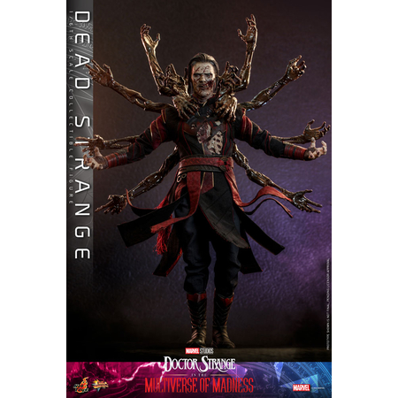 Marvel Dead Strange (Doctor Strange in the Multiverse of Madness) 1:6 Scale Figure Hot Toys 911214 MMS654