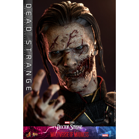 Marvel Dead Strange (Doctor Strange in the Multiverse of Madness) 1:6 Scale Figure Hot Toys 911214 MMS654