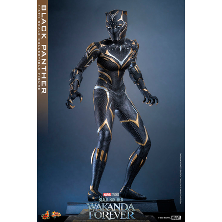 Marvel Black Panther (Wakanda Forever) 1:6 Scale Figure Hot Toys 911962 MMS675