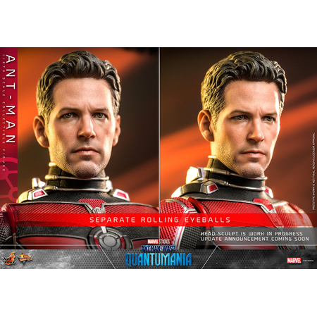 Marvel Ant-Man 1:6 Scale Figure Hot Toys MMS690 912130Marvel Ant-Man 1:6 Scale Figure Hot Toys MMS690 912130