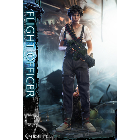 Flight Officer 1:6 Scale Figure Present Toys PST-SP60