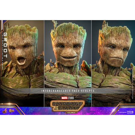 Marvel Groot 1:6 Scale Figure Hot Toys 912309 MMS706