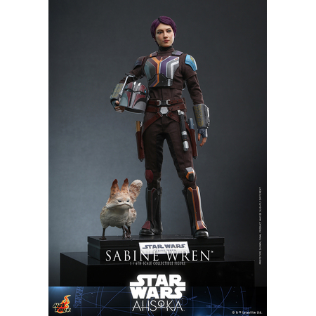 Star Wars Sabine Wren (Ahsoka) 1:6 Scale Figure Hot Toys 912687 TMS111