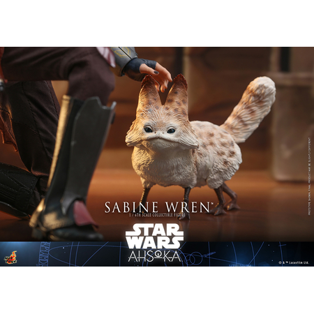Star Wars Sabine Wren (Ahsoka) 1:6 Scale Figure Hot Toys 912687 TMS111